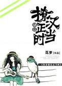 撩汉指南全文阅读