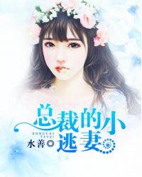 总裁的小逃妻 水善