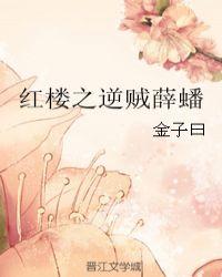 红楼之逆贼薛蟠男主娶了谁
