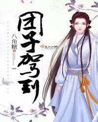 团子和师傅的小视频
