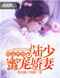 慢慢婚途陆少求放过苏韵