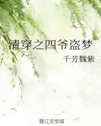 清穿之四爷盗梦TXT