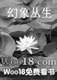 梦幻西游幻象丛生怎么玩