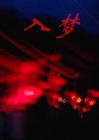 入梦照惊鸿