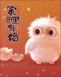 家里养的鹅飞了什么预兆