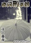 夜间刑事部苏释的身份