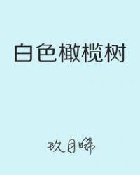 白色橄榄树哪个平台可以看