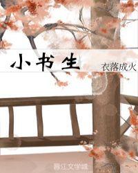 小书生作文