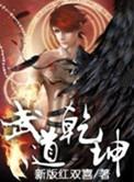 武道乾坤完本免费