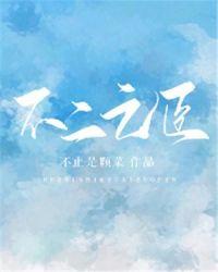不二之臣电视剧什么时候播