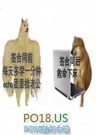 偶像成长计划h