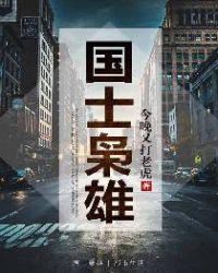 国士枭雄电视剧完整版