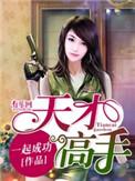 天才高手女主角有几个