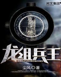 龙组兵王叶凡