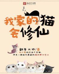 我家的猫系列