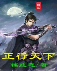 正行天下公司