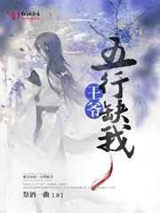 王爷无行缺我