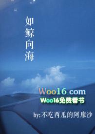 如鲸向海一般形容什么