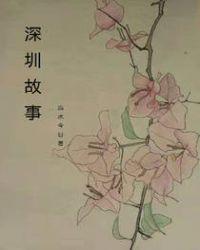 深圳故事我和老板那些年怎么看