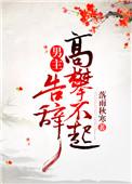告辞!无防盗