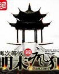明末疯狂打天下TXT