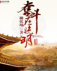 奋斗在新明朝简介