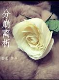 分崩离析的意思是啥