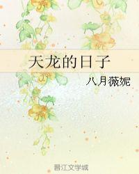 天龙aⅴc2800
