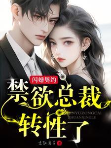 闪婚总裁契约妻全文免费