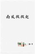 南风微微起全文免费阅读番外