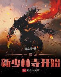 一切从新少林寺开始的