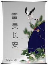 富贵长安TXT