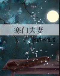 寒门夫妻txt