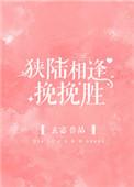 狭陆相逢挽挽胜类似