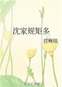 沈家规矩多原著