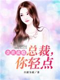 总裁轻点好不好
