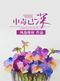 中毒已深 风卷珠帘