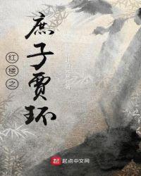 红楼之庶子贾环锦衣卫