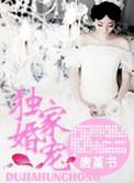 独家婚宠总裁男神轻点宠