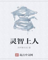 灵智上人83版扮演者