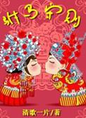 驸马守则 清歌一片