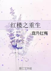 红楼之重生为贾瑞 忙忙碌碌