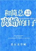 和简总离婚的日子千千看书