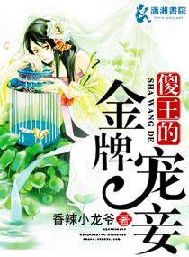 傻王的专宠