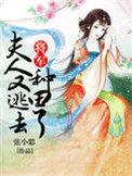 将军夫人又要逃