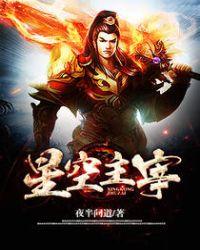 星空主宰书旗网免费阅读