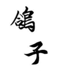 鸽子怎样识别公鸽和母鸽