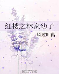 红楼之林家幼子风过叶落