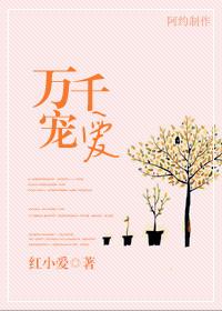 万千宠爱123言情