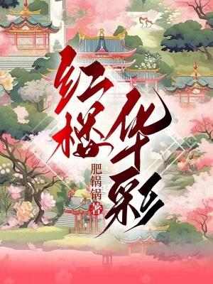 红楼华彩an